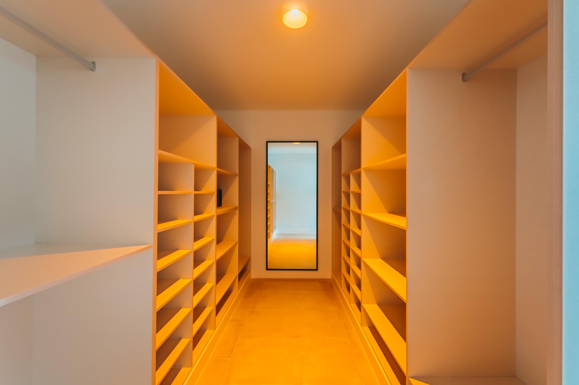 Walk-in closet with overhead lighting